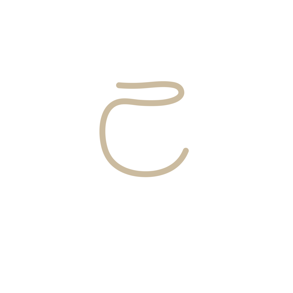 Logo Bu Final Mesa De Trabajo 1 1024x1024